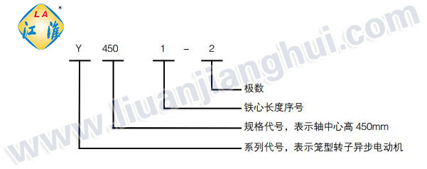 Y2緊湊型高壓三相異步電動(dòng)機(jī)_型號(hào)意義說(shuō)明_六安江淮電機(jī)有限公司