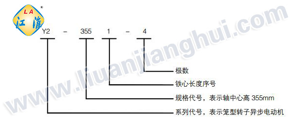 Y2緊湊型高壓三相異步電動(dòng)機(jī)_型號意義說明_六安江淮電機(jī)有限公司