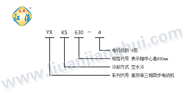 YXKS高效節(jié)能高壓三相異步電動機(jī)_型號意義說明_六安江淮電機(jī)有限公司